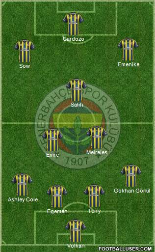 Fenerbahçe SK Formation 2013
