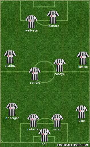 Newcastle United Formation 2013