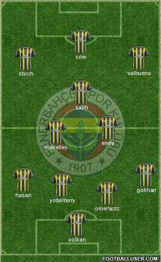 Fenerbahçe SK Formation 2013
