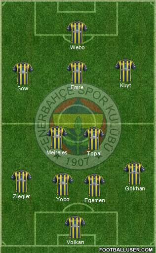 Fenerbahçe SK Formation 2013