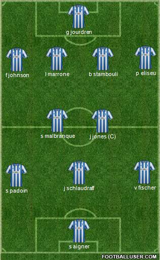 Brighton and Hove Albion Formation 2013