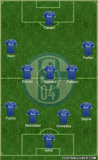 FC Schalke 04 Formation 2013