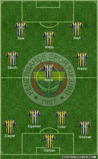 Fenerbahçe SK Formation 2013