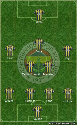 Fenerbahçe SK Formation 2013