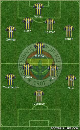 Fenerbahçe SK Formation 2013