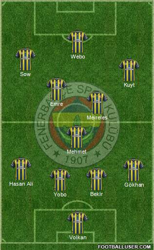 Fenerbahçe SK Formation 2013