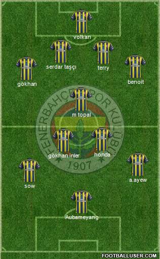 Fenerbahçe SK Formation 2013