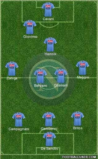Napoli Formation 2013