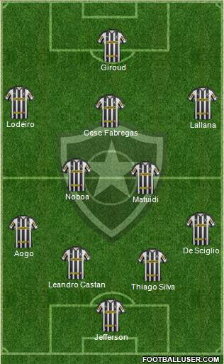Botafogo FR Formation 2013