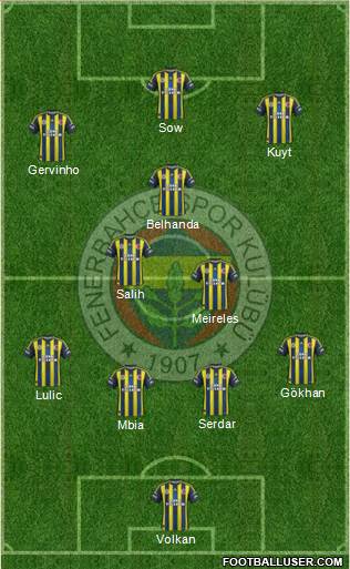 Fenerbahçe SK Formation 2013