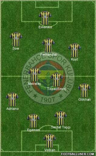 Fenerbahçe SK Formation 2013