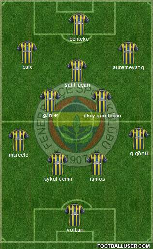 Fenerbahçe SK Formation 2013