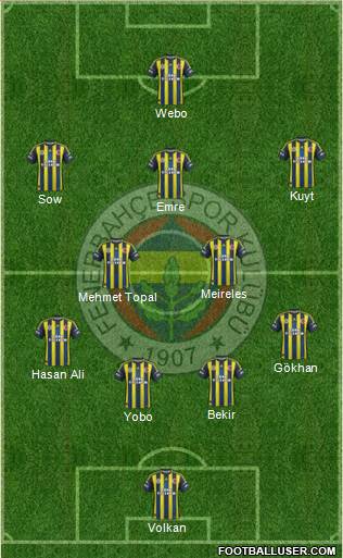 Fenerbahçe SK Formation 2013