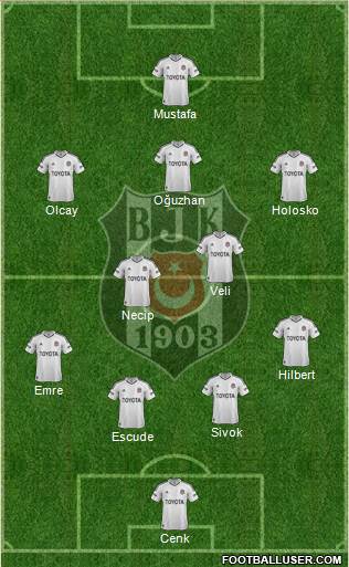 Besiktas JK Formation 2013