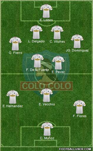 CSD Colo Colo Formation 2013