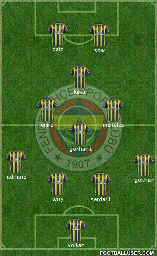 Fenerbahçe SK Formation 2013