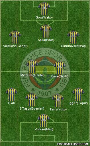 Fenerbahçe SK Formation 2013