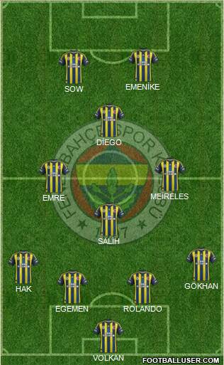 Fenerbahçe SK Formation 2013