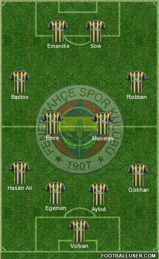 Fenerbahçe SK Formation 2013