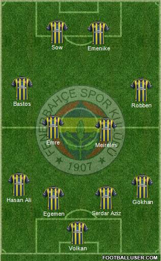 Fenerbahçe SK Formation 2013