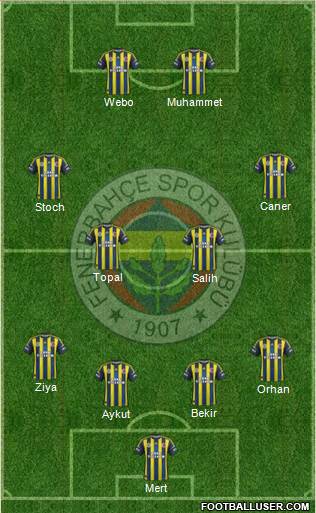 Fenerbahçe SK Formation 2013