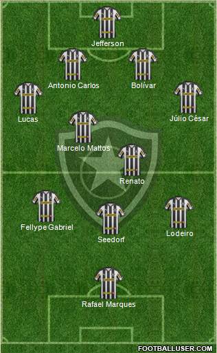 Botafogo FR Formation 2013