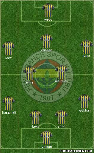 Fenerbahçe SK Formation 2013