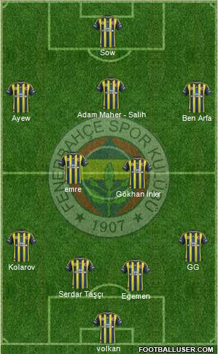 Fenerbahçe SK Formation 2013