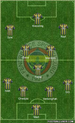 Fenerbahçe SK Formation 2013