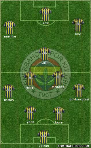 Fenerbahçe SK Formation 2013