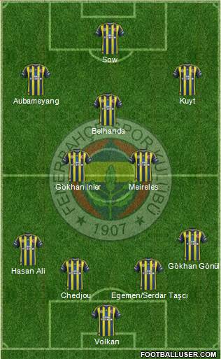 Fenerbahçe SK Formation 2013