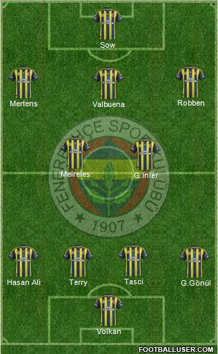 Fenerbahçe SK Formation 2013