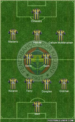 Fenerbahçe SK Formation 2013