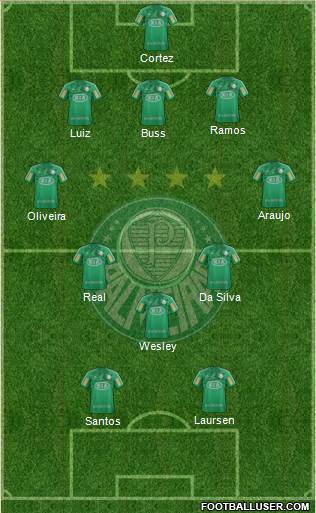 SE Palmeiras Formation 2013