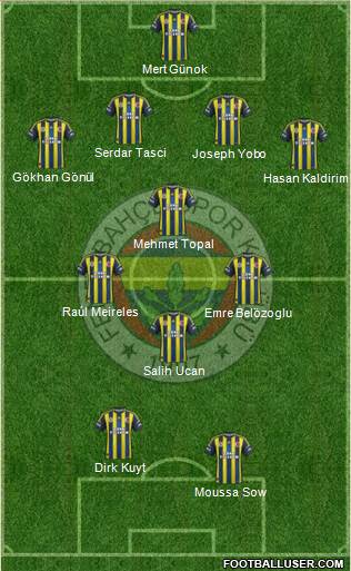 Fenerbahçe SK Formation 2013