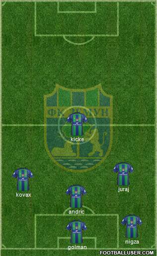 FK Zemun Formation 2013