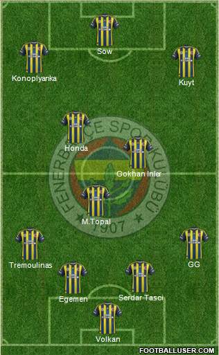 Fenerbahçe SK Formation 2013