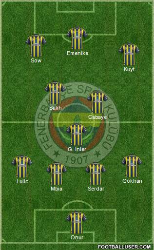 Fenerbahçe SK Formation 2013
