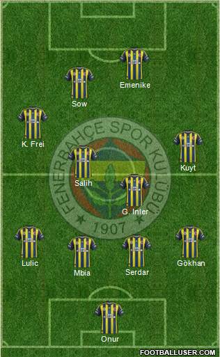 Fenerbahçe SK Formation 2013