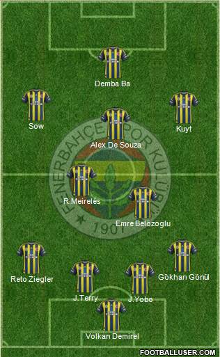 Fenerbahçe SK Formation 2013