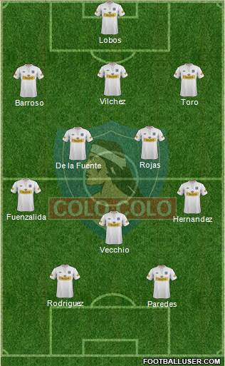 CSD Colo Colo Formation 2013