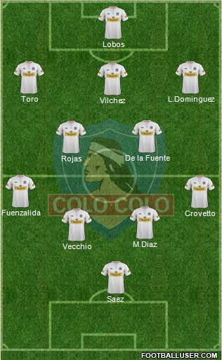 CSD Colo Colo Formation 2013