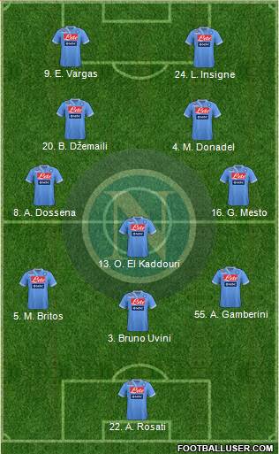 Napoli Formation 2013