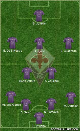 Fiorentina Formation 2013