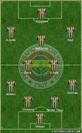 Fenerbahçe SK Formation 2013