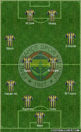 Fenerbahçe SK Formation 2013