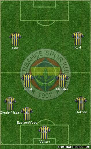 Fenerbahçe SK Formation 2013