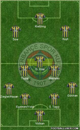 Fenerbahçe SK Formation 2013