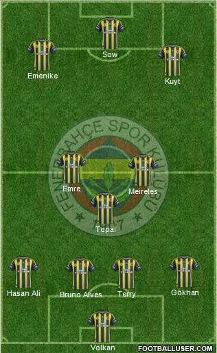 Fenerbahçe SK Formation 2013