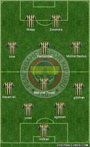 Fenerbahçe SK Formation 2013